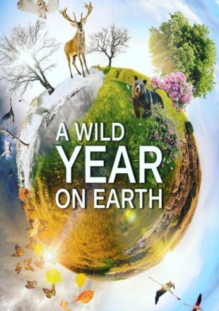 A Wild Year on Earth Season 1 English With Subtitle 720p 1080p All Episode
