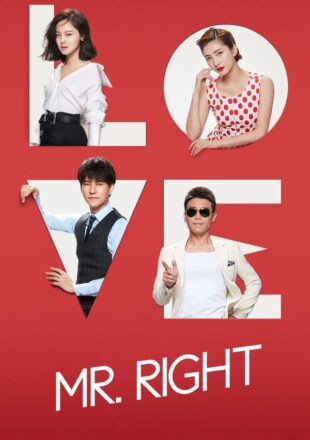 Mr. Right Season 1 Hindi Dubbed 720p 1080p All Episode