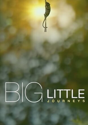 Big Little Journeys Season 1 English With Subtitle 720p 1080p S01E03 Added
