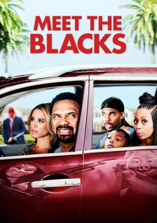 Meet the Blacks 2016 Dual Audio Hindi-English 480p 720p 1080p
