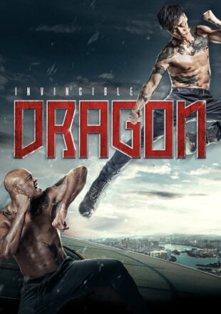 The Invincible Dragon 2019 Dual Audio Hindi-Chinese 480p 720p 1080p