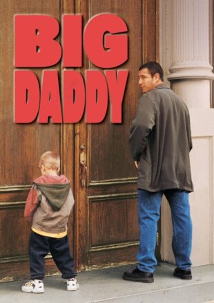 Big Daddy 1999 Dual Audio Hindi-English 480p 720p 1080p