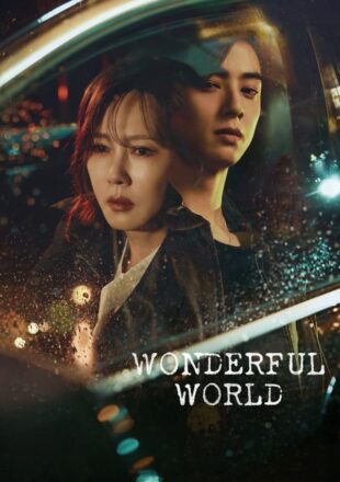 Wonderful World Season 1 Korean With English Subtitle 720p 1080p S01E14 Added
