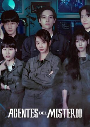 Agents of Mystery Season 1 Dual Audio English-Korean 720p 1080p