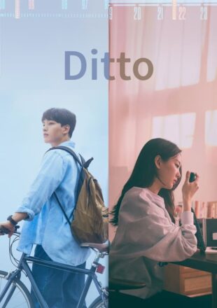 Ditto aka The Agreement 2022 Dual Audio Hindi-Korean 480p 720p 1080p