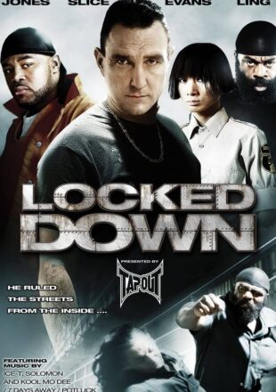 Locked Down 2010 Dual Audio Hindi-English 480p 720p 1080p