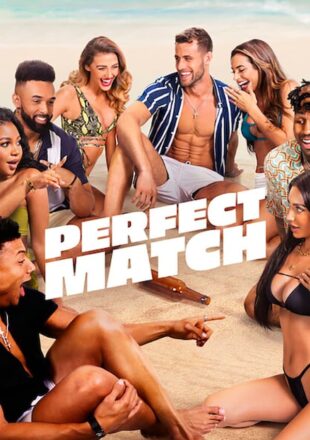 Perfect Match Season 1-2 Dual Audio Hindi-English 480p 720p 1080p