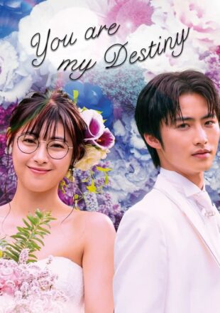 You Are My Destiny Season 1 Dual Audio Hindi-Korean 720p 1080p All Episode